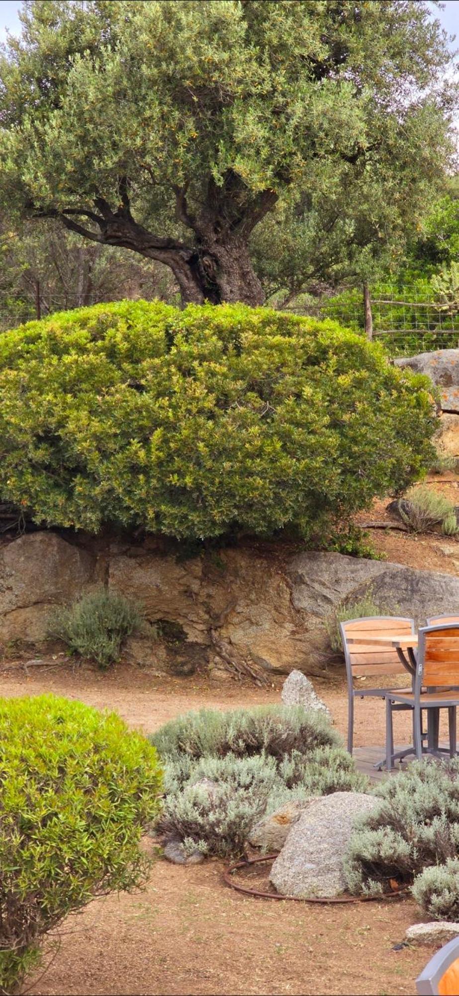 Hotel Cala Di L'Oru เอลเลอรูซ ภายนอก รูปภาพ