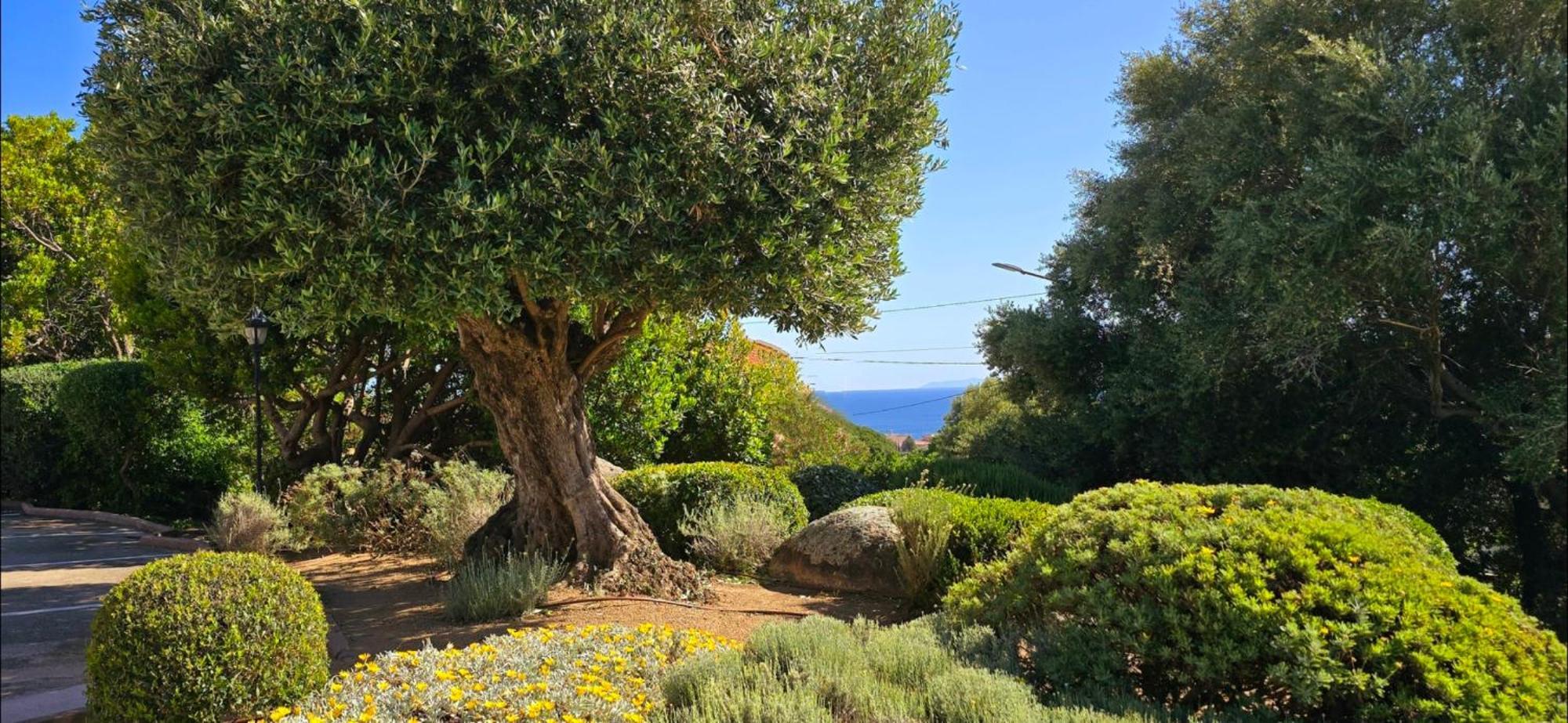 Hotel Cala Di L'Oru เอลเลอรูซ ภายนอก รูปภาพ