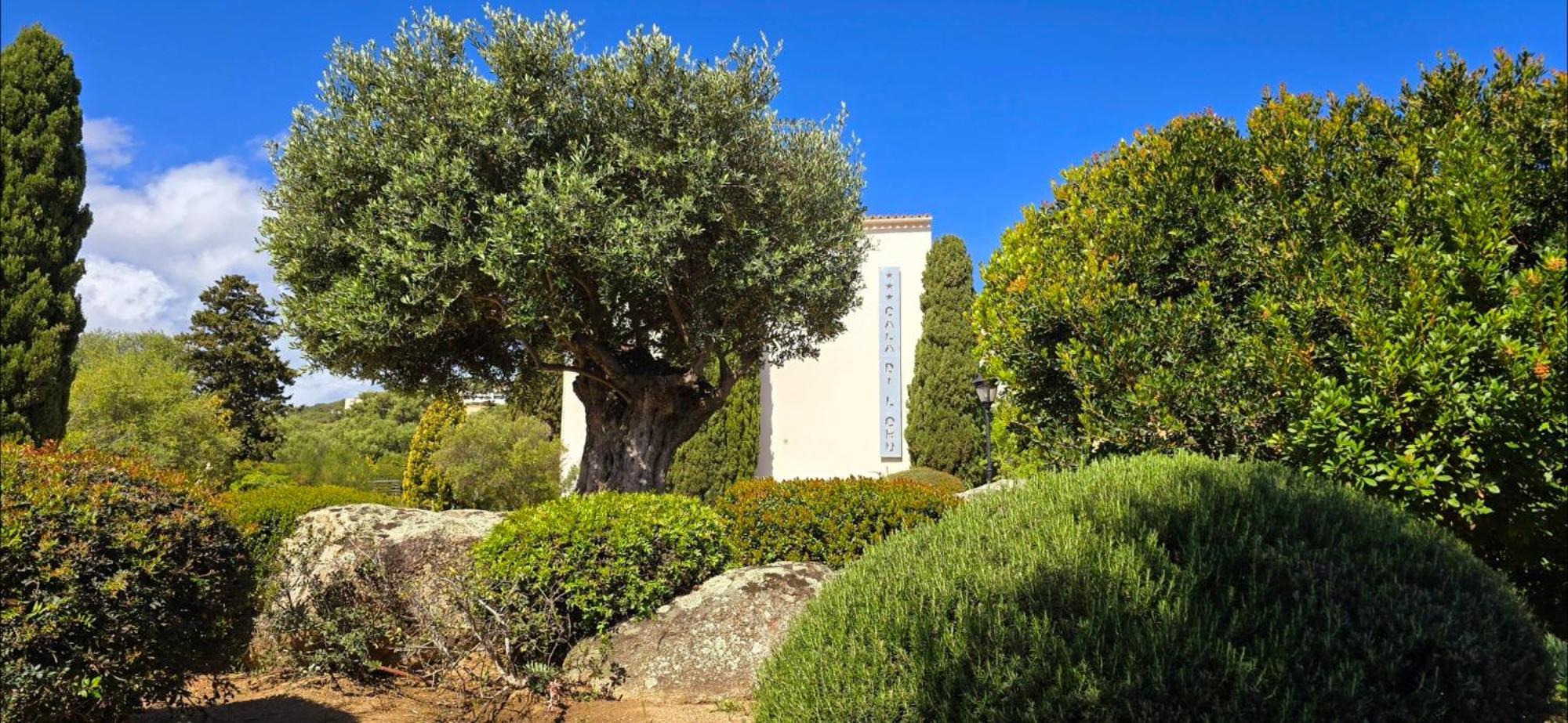 Hotel Cala Di L'Oru เอลเลอรูซ ภายนอก รูปภาพ