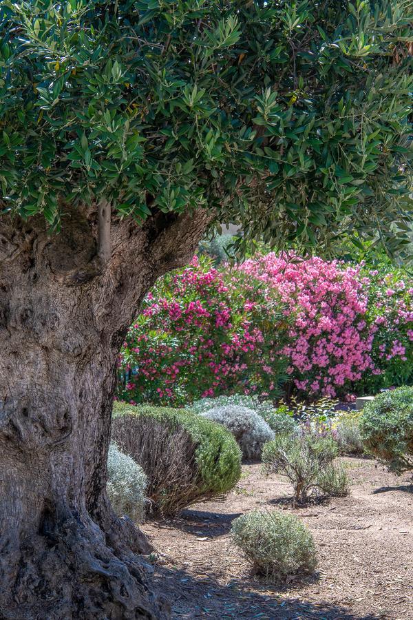 Hotel Cala Di L'Oru เอลเลอรูซ ภายนอก รูปภาพ